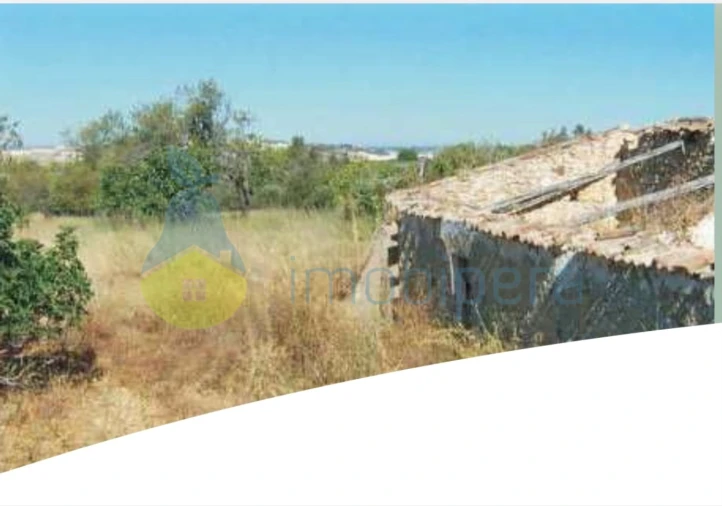 Terreno para Venda em Algoz e Tunes Foto 10
