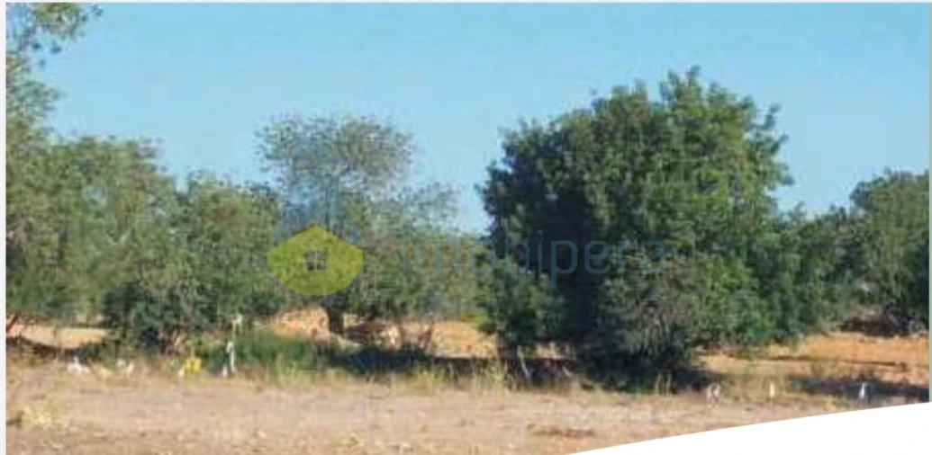 Terreno para Venda em Algoz e Tunes Foto 13