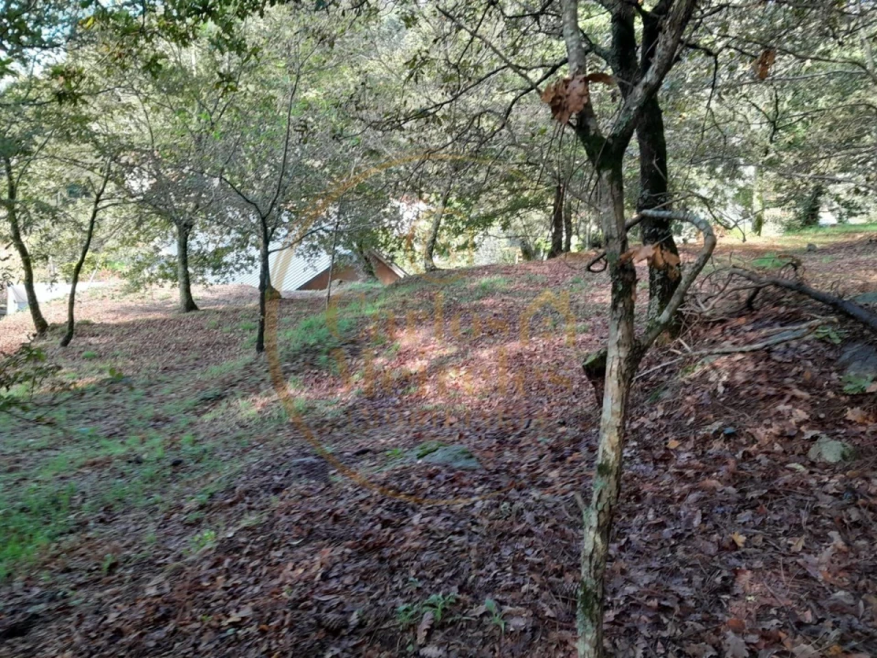 Moradia para Venda em Ribeira do Neiva Foto 6