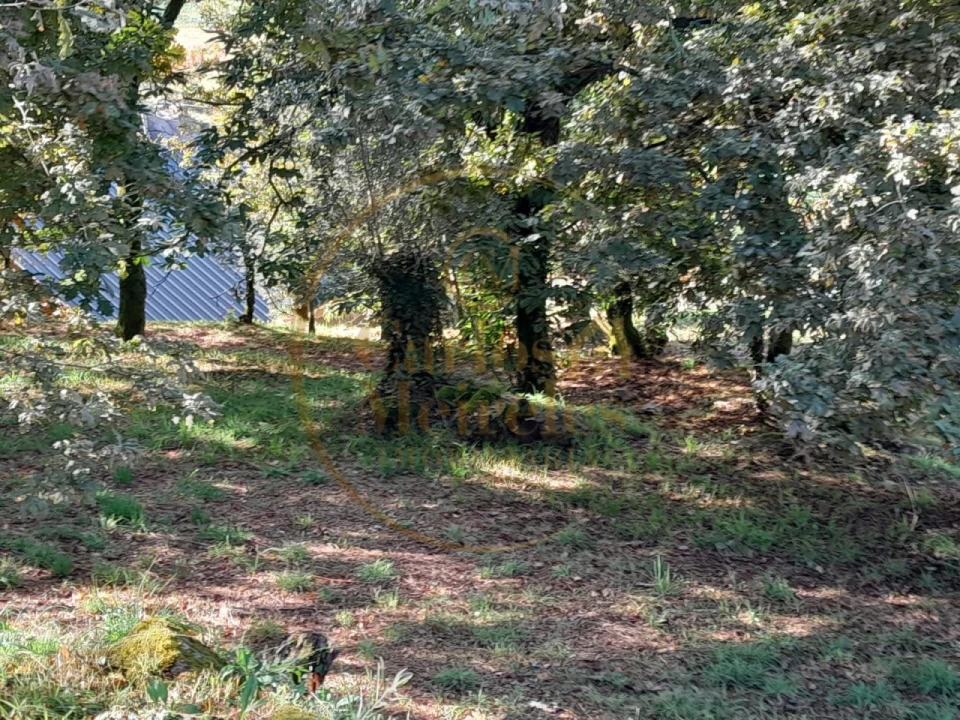 Moradia para Venda em Ribeira do Neiva Foto 7