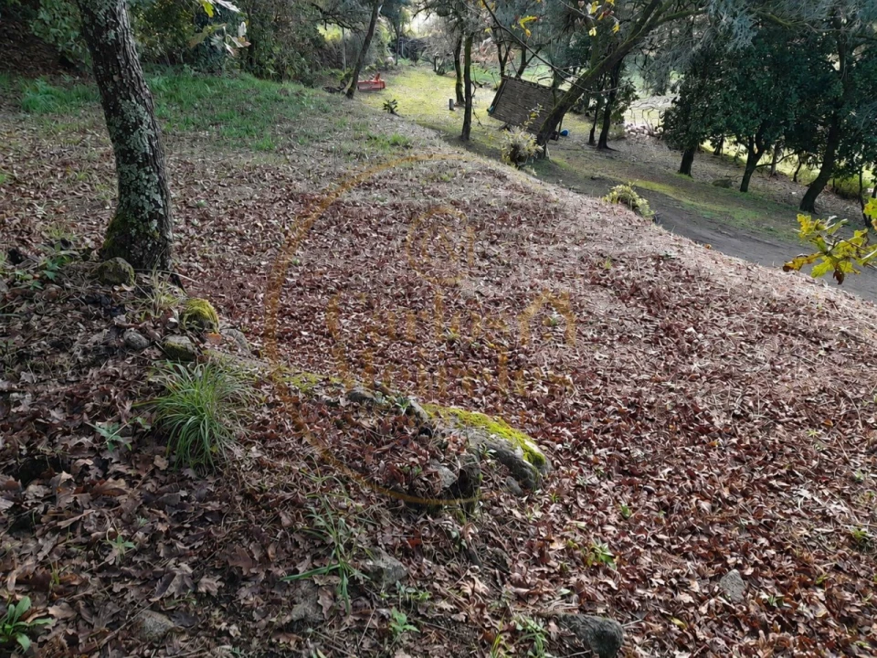 Moradia para Venda em Ribeira do Neiva Foto 9