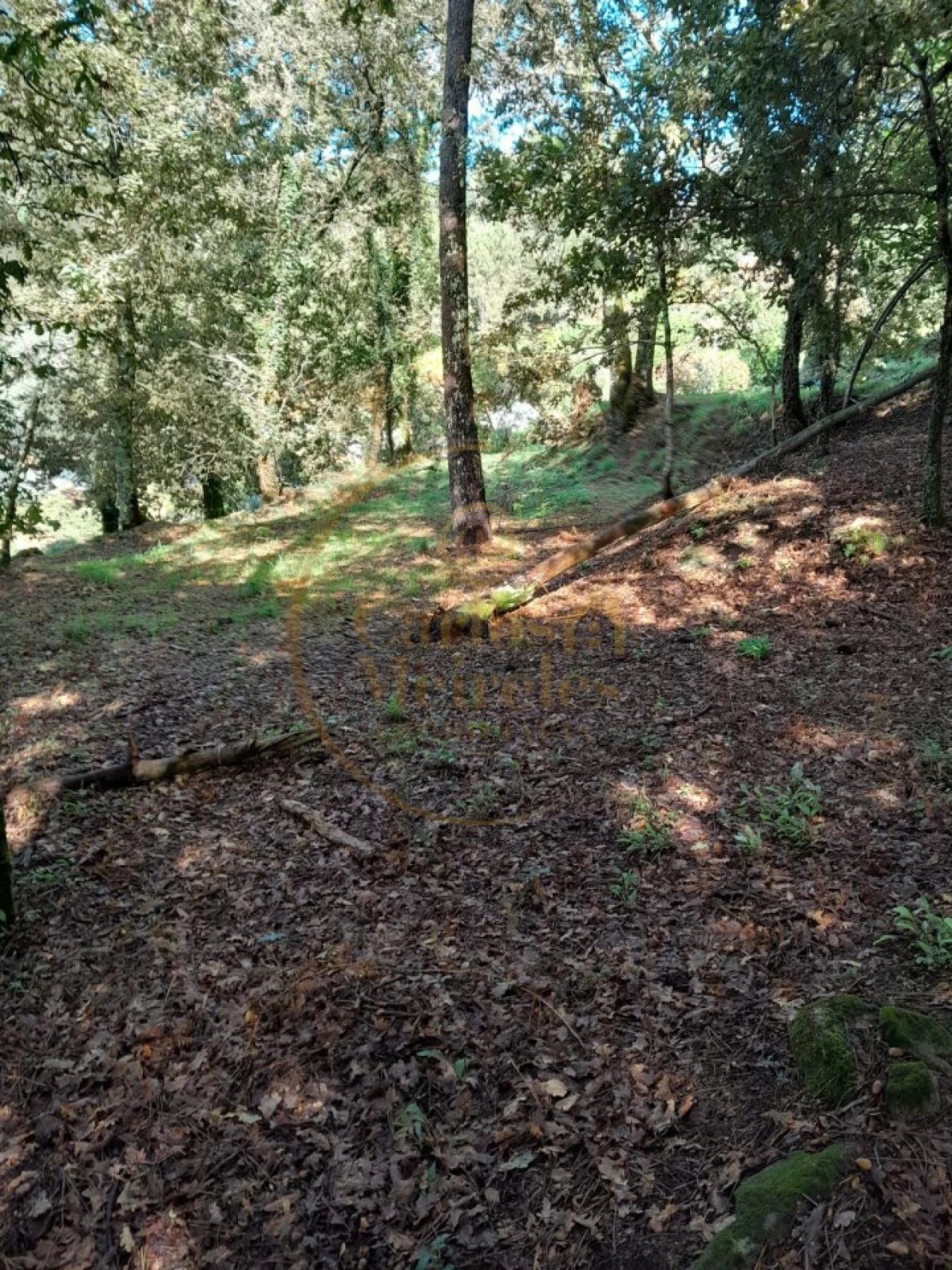 Moradia para Venda em Ribeira do Neiva Foto 10