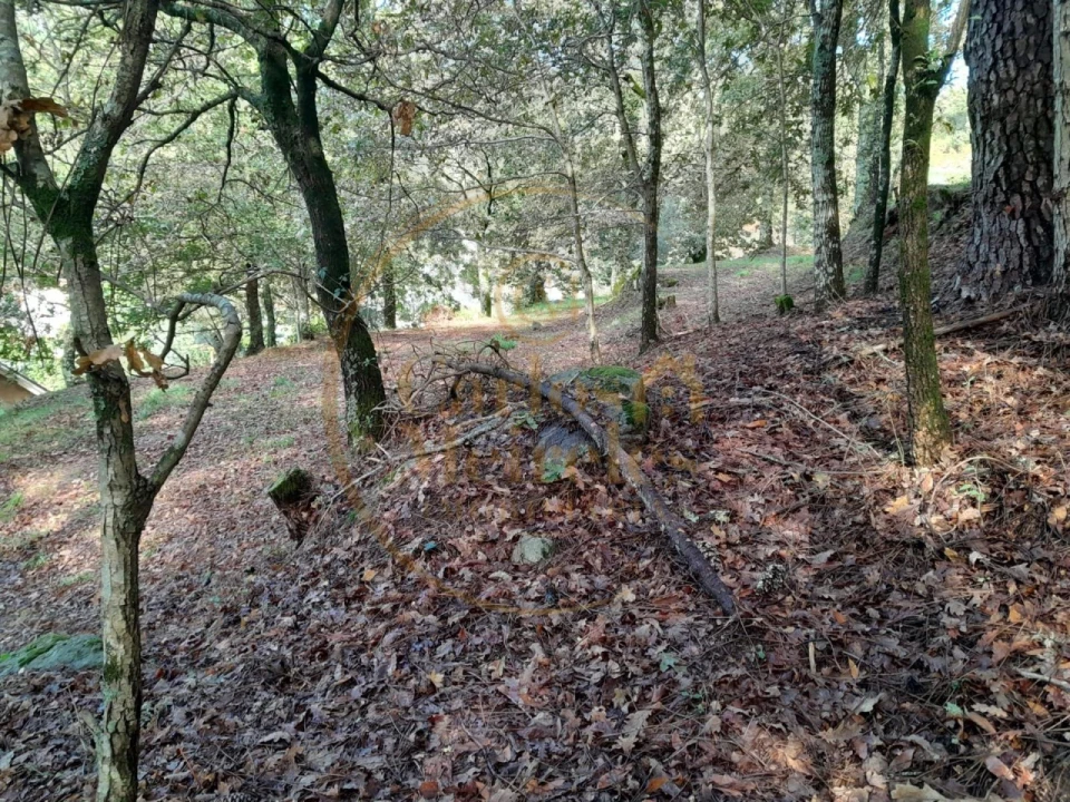 Moradia para Venda em Ribeira do Neiva Foto 11