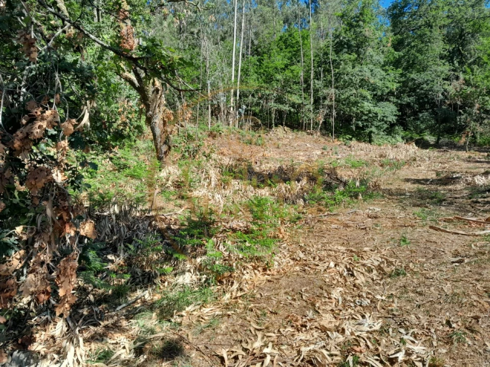 Moradia para Venda em Ribeira do Neiva Foto 13