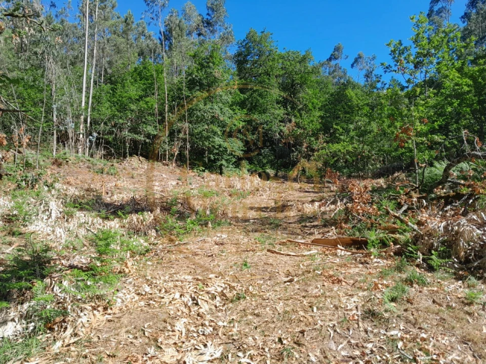 Moradia para Venda em Ribeira do Neiva Foto 14