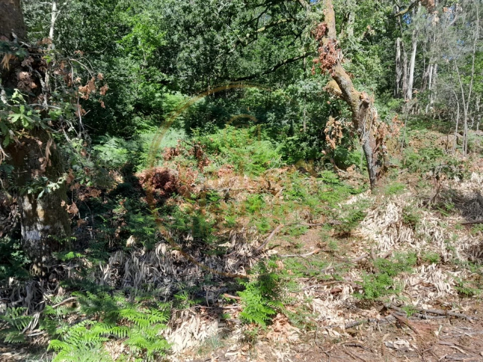 Moradia para Venda em Ribeira do Neiva Foto 15