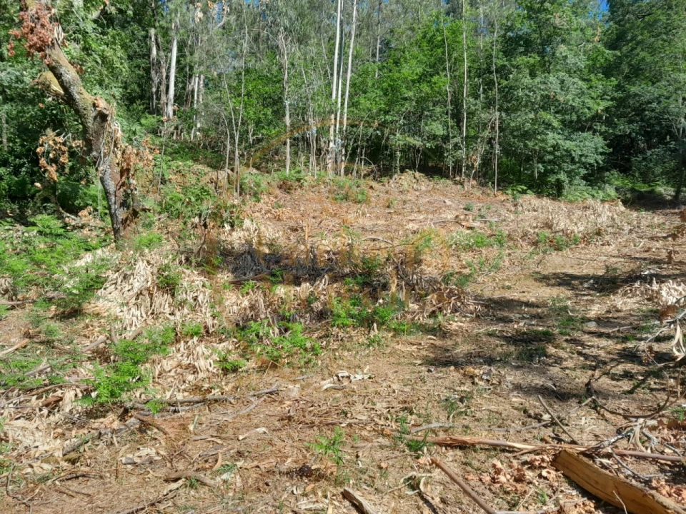 Moradia para Venda em Ribeira do Neiva Foto 16