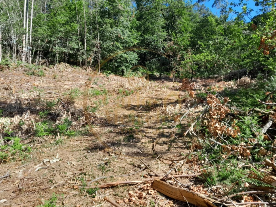 Moradia para Venda em Ribeira do Neiva Foto 18