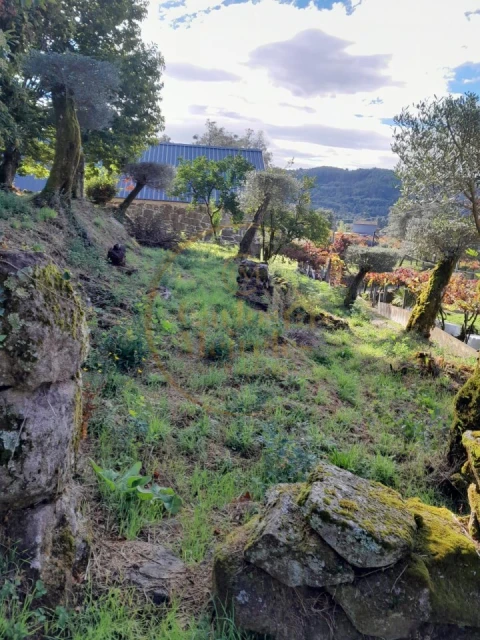 Moradia para Venda em Ribeira do Neiva