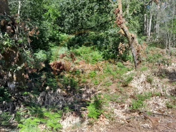 Moradia para Venda em Ribeira do Neiva