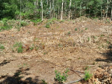 Moradia para Venda em Ribeira do Neiva