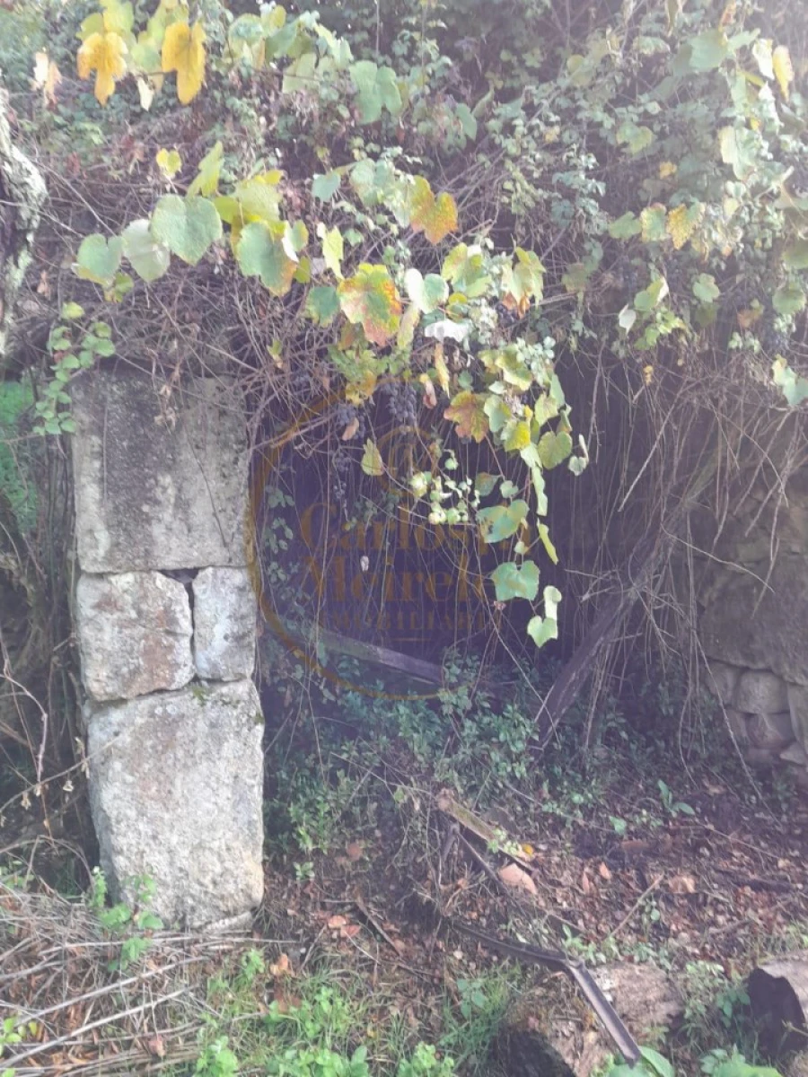 Moradia para Venda em Ribeira do Neiva Foto 3