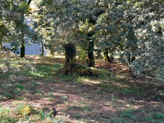 Moradia para Venda em Ribeira do Neiva Foto 7