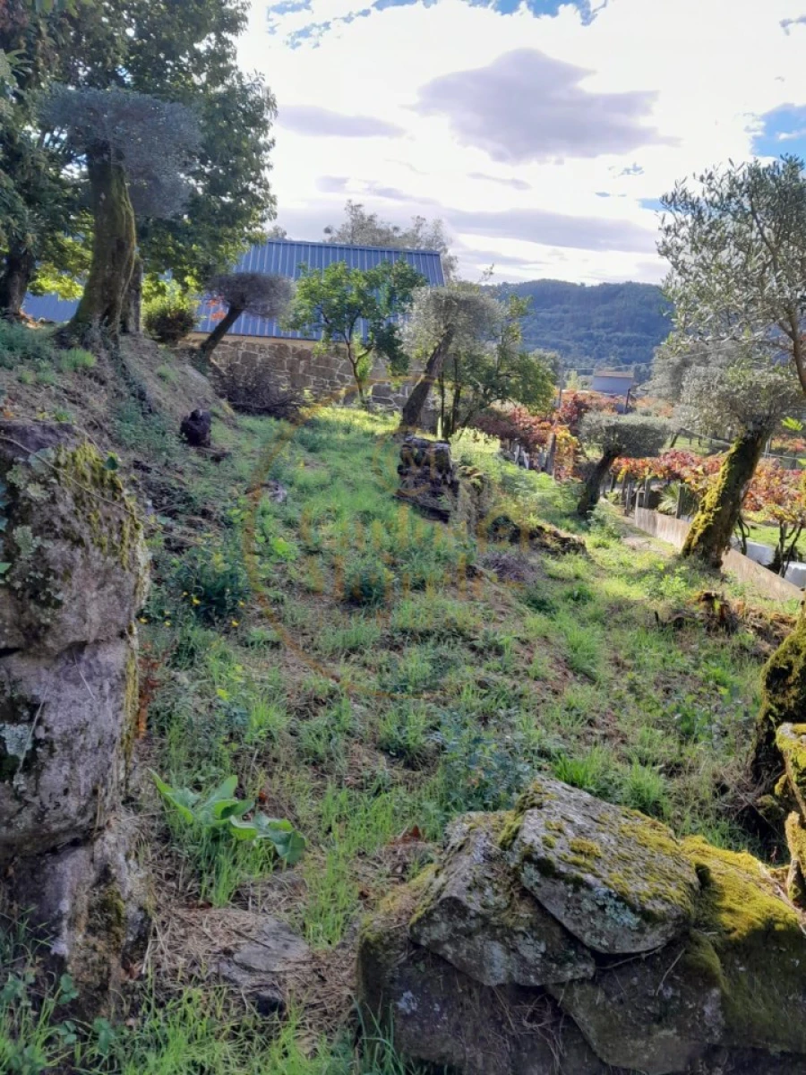 Moradia para Venda em Ribeira do Neiva Foto 8