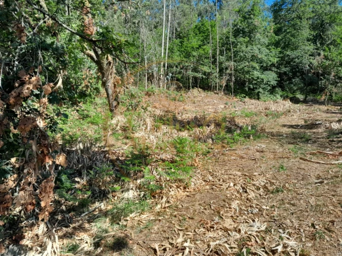 Moradia para Venda em Ribeira do Neiva Foto 13