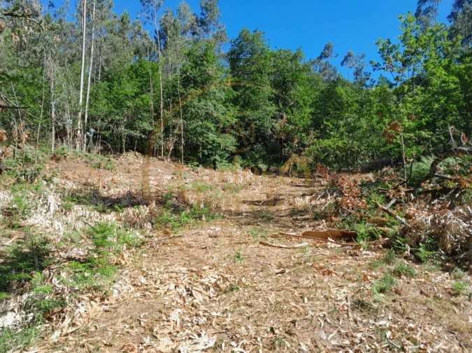 Moradia para Venda em Ribeira do Neiva Foto 14