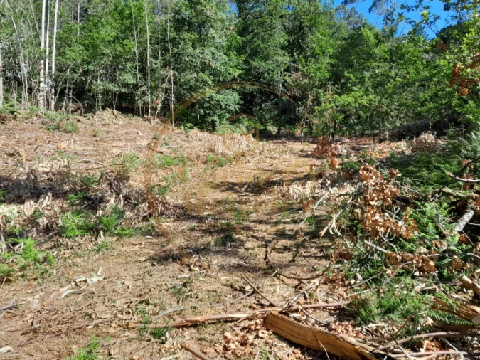 Moradia para Venda em Ribeira do Neiva Foto 18