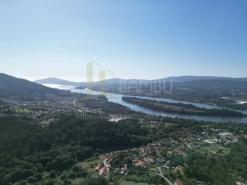 Terreno para Venda em Loivo