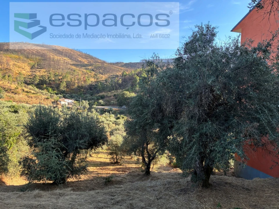 Terreno para Arrendamento em Lavacolhos Foto 1