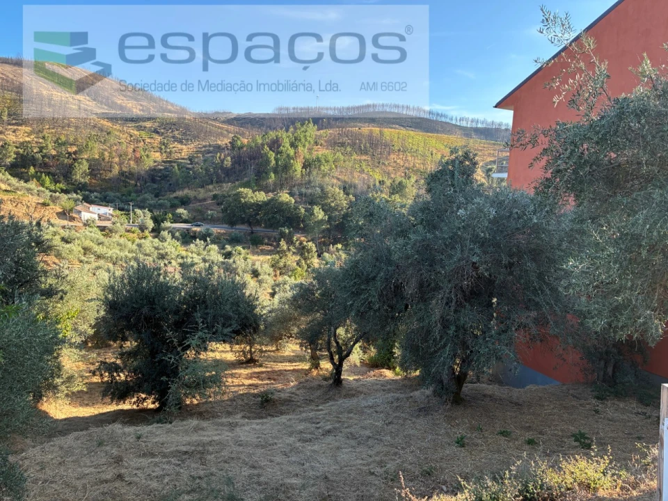 Terreno para Arrendamento em Lavacolhos Foto 2