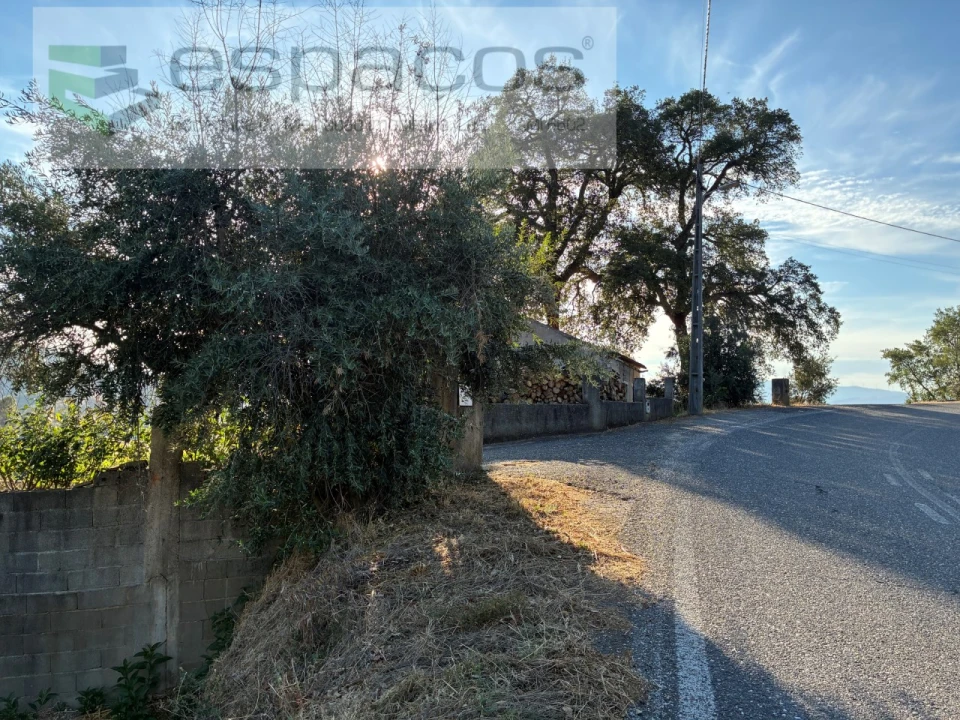 Terreno para Arrendamento em Lavacolhos Foto 3