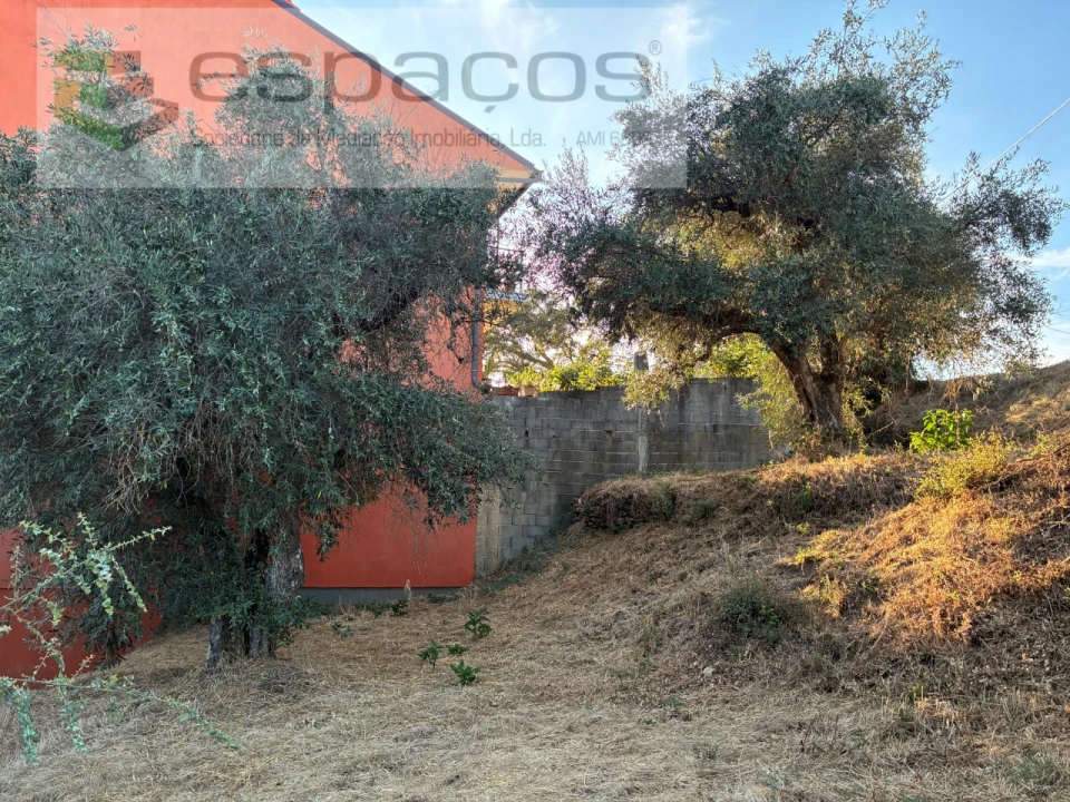 Terreno para Arrendamento em Lavacolhos Foto 5