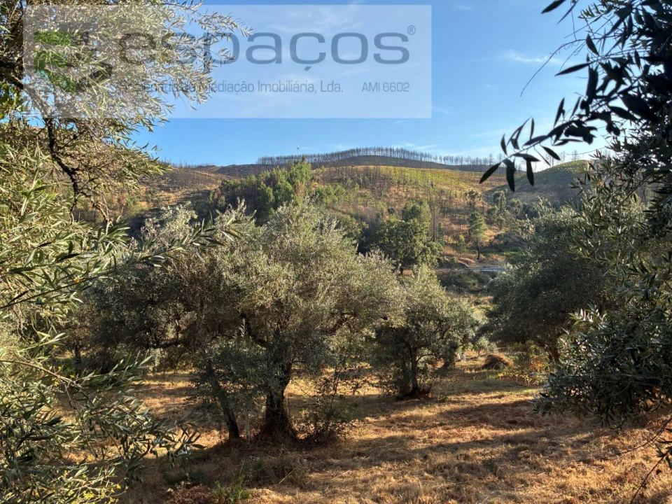 Terreno para Arrendamento em Lavacolhos Foto 7