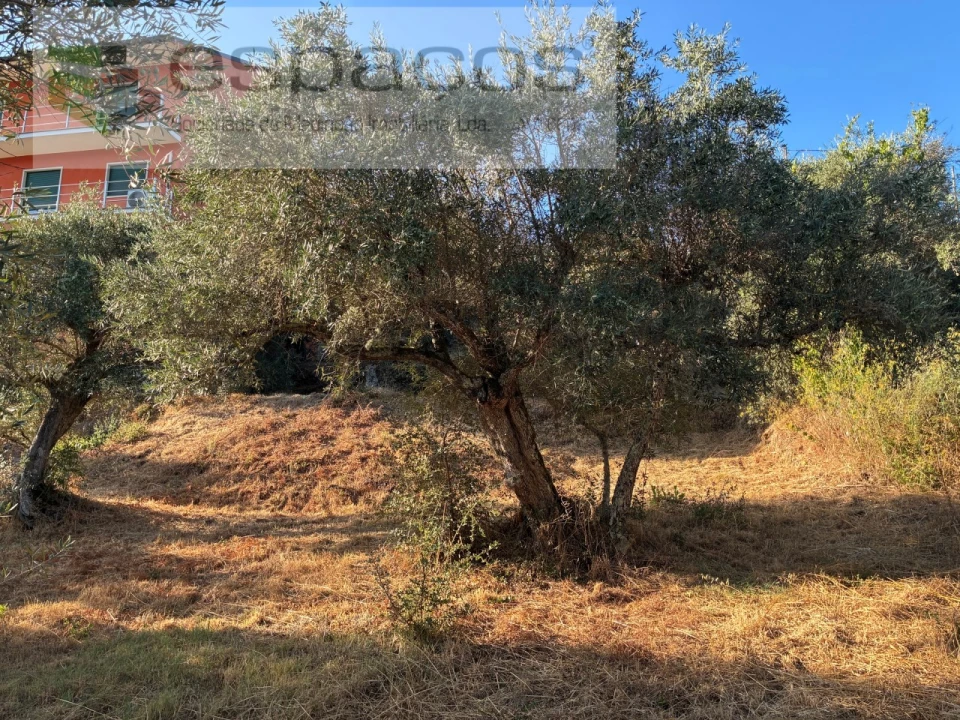 Terreno para Arrendamento em Lavacolhos Foto 11