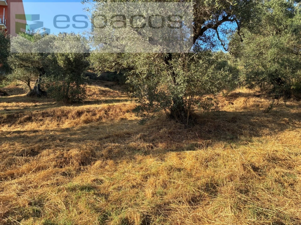 Terreno para Arrendamento em Lavacolhos Foto 14