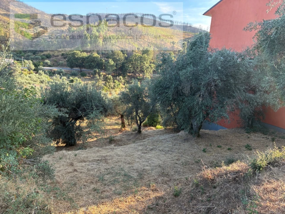 Terreno para Arrendamento em Lavacolhos Foto 20