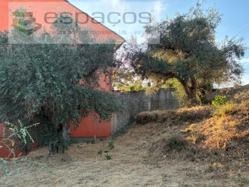 Terreno para Arrendamento em Lavacolhos