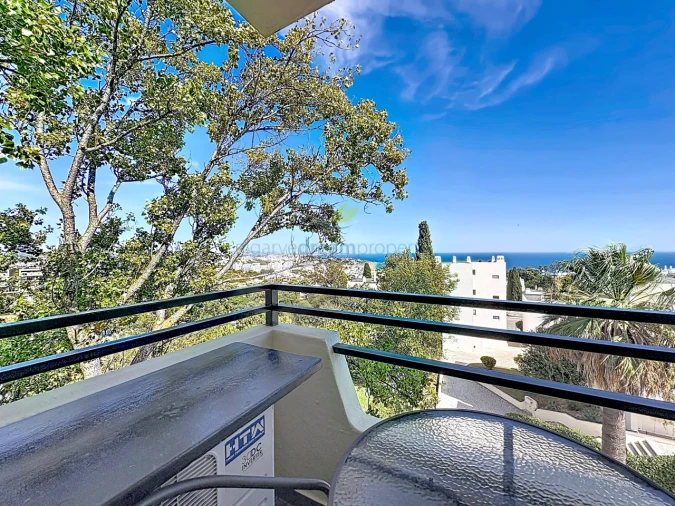 Apartamento para Venda em Albufeira e Olhos de Água Foto 4