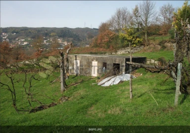 Terreno Agricola ou Rústico para Venda em Gove