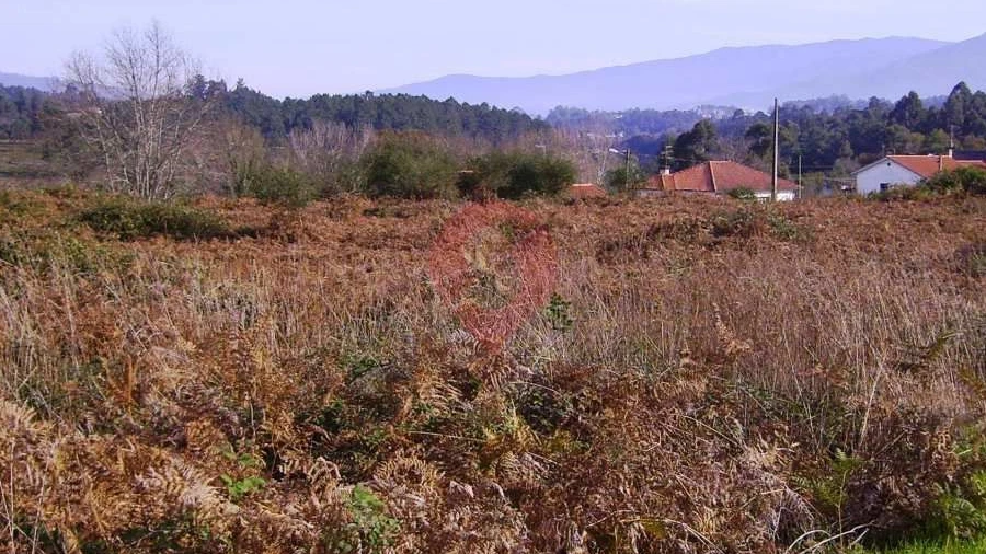 Terreno para Venda em Bela