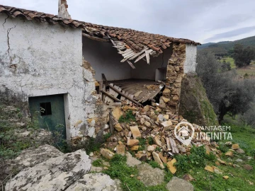 Quinta T4 para Venda em Alegrete