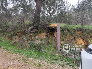 Quinta T4 para Venda em Alegrete