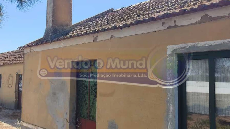 Terreno para Venda em Glória do Ribatejo e Granho