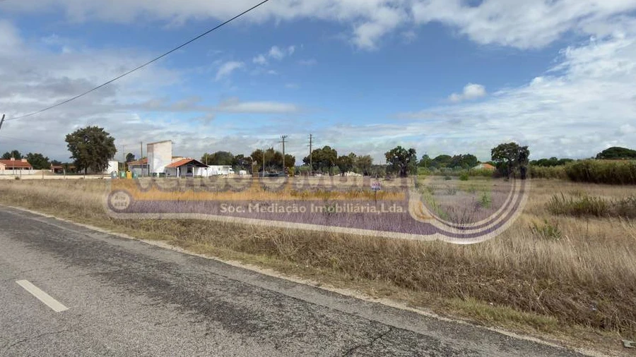 Terreno para Venda em Glória do Ribatejo e Granho