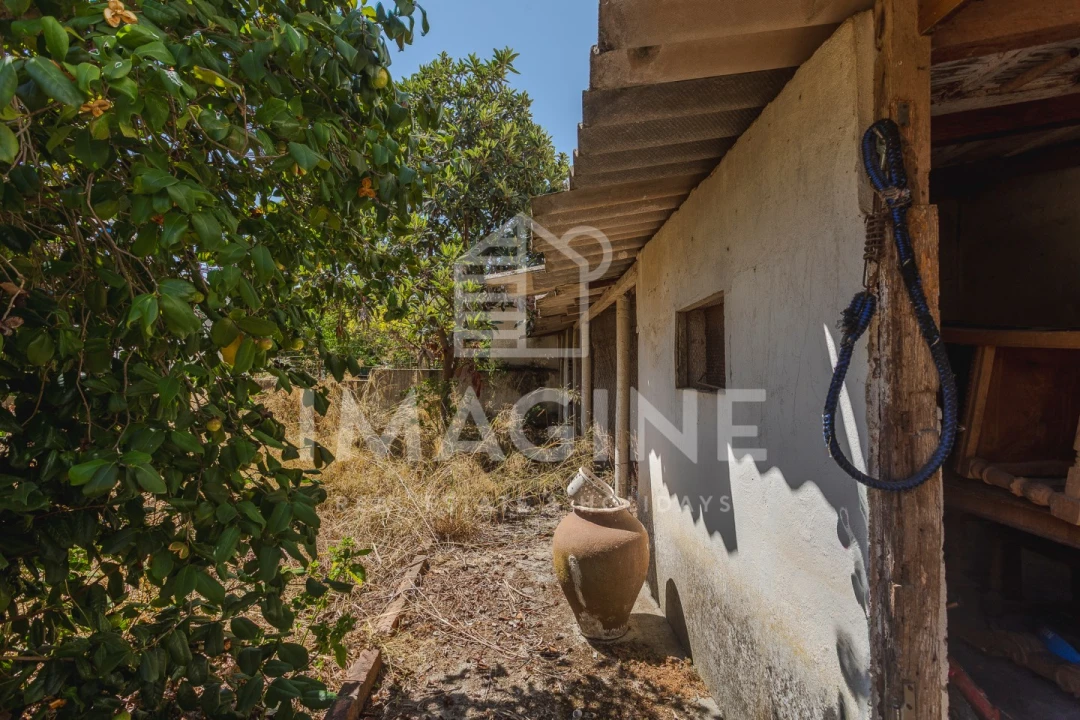 Moradia T3 para Venda em Gambia-Pontes-Alto da Guerra Foto 22