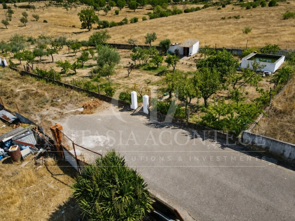 Terreno para Venda em Chancelaria Foto 8