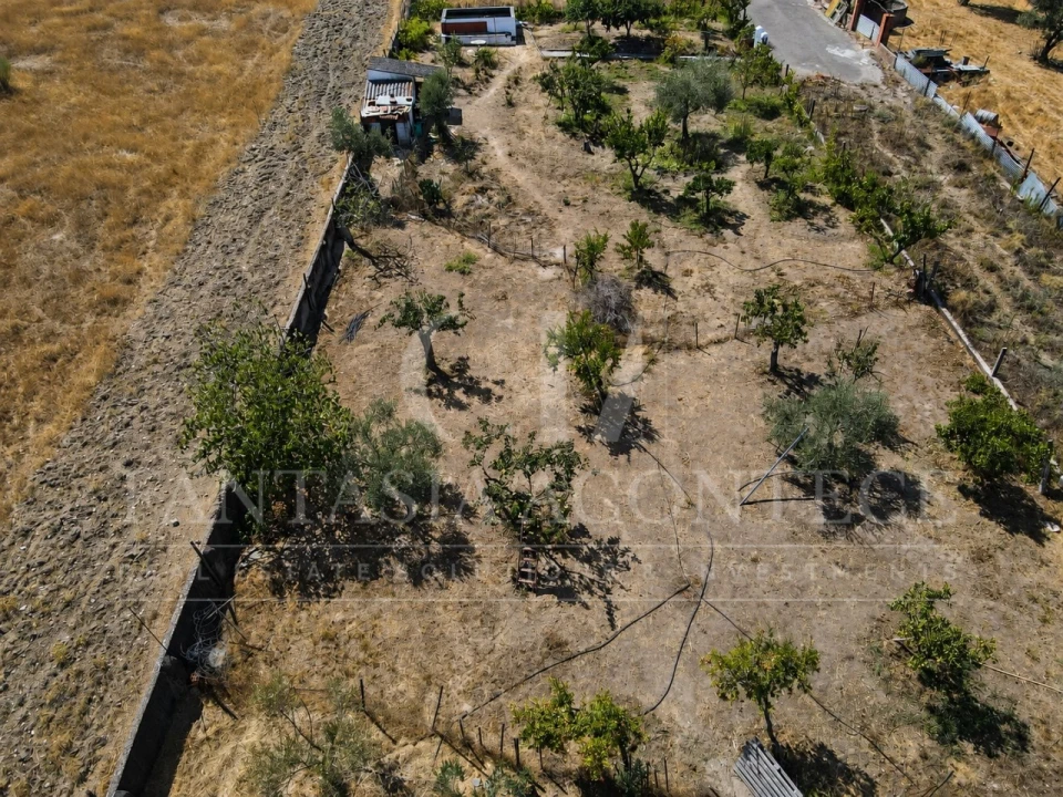 Terreno para Venda em Chancelaria Foto 10