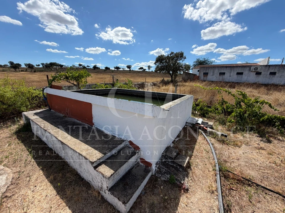 Terreno para Venda em Chancelaria Foto 11