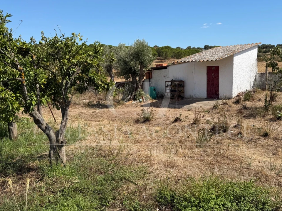 Terreno para Venda em Chancelaria Foto 13