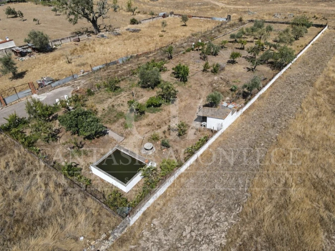 Terreno para Venda em Chancelaria Foto 2