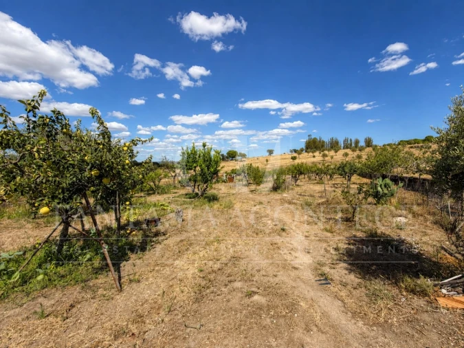 Terreno para Venda em Chancelaria Foto 4