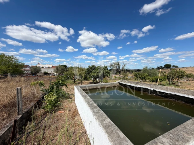 Terreno para Venda em Chancelaria Foto 12