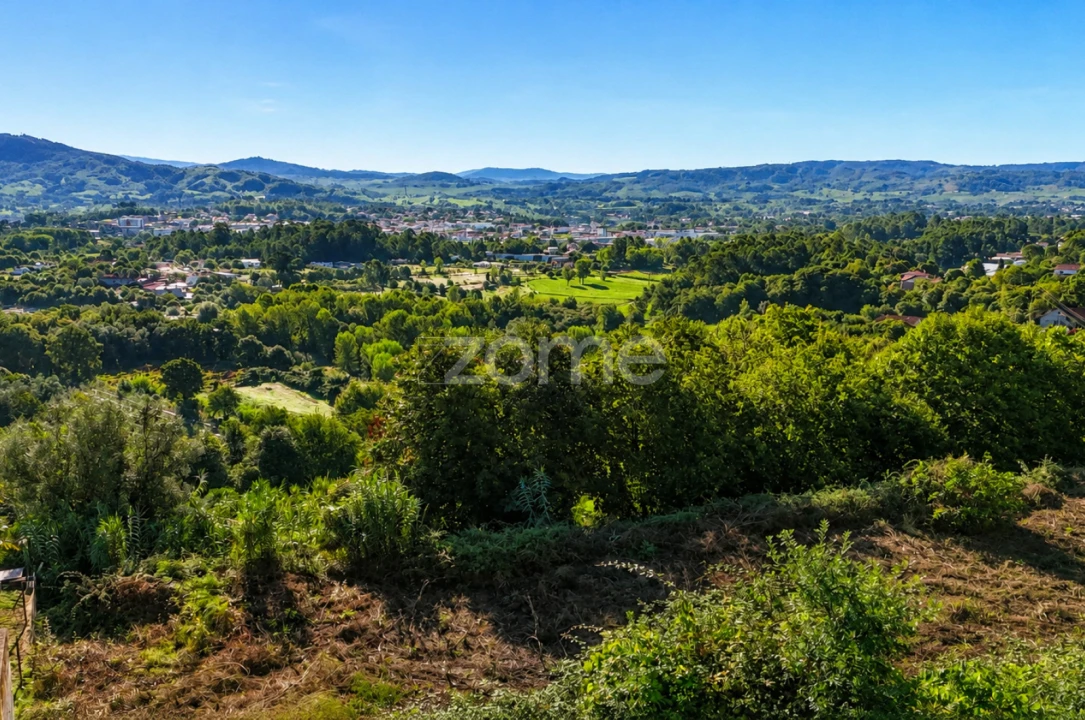 Terreno para Venda em Vila Verde e Barbudo Foto 2
