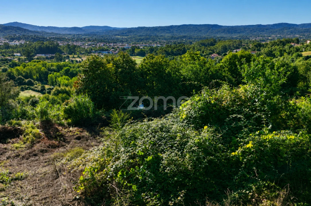Terreno para Venda em Vila Verde e Barbudo Foto 8