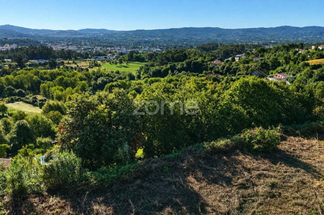 Terreno para Venda em Vila Verde e Barbudo Foto 11