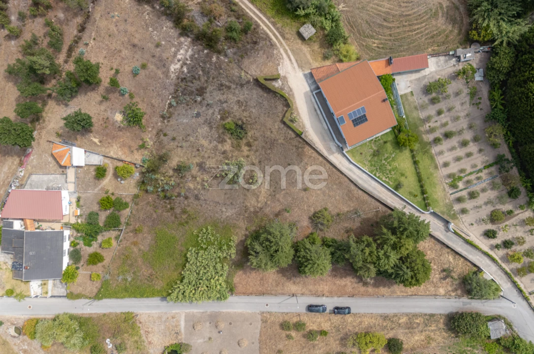 Terreno para Venda em Ançã Foto 2